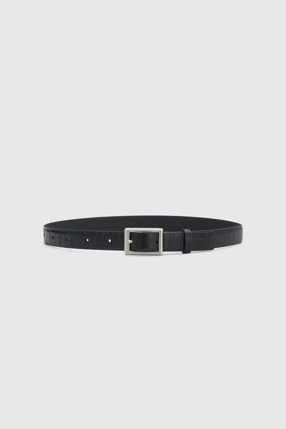 Sonny Eel Belt - Image 3